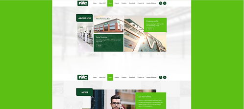 雷士光電官方網站建設項目 構建專業數字門戶，照亮品牌未來